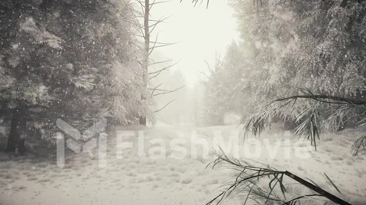 Winter snowfall in the forest, gentle lovely snowy Christmas morning with falling snow. Winter landscape. Christmas background. Snow covered trees. Fog. Ultra realistic 3d seamless loop animation