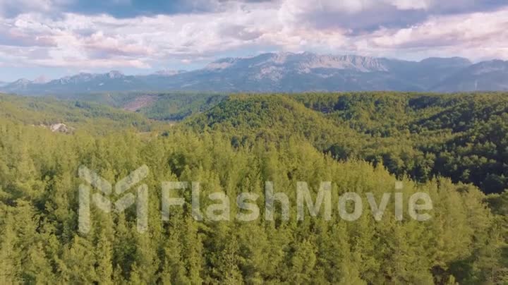 Aerial drone footage of green trees on a hill against a blue sky. Riverbed. Green Forest. Wildlife. Mountain landscape