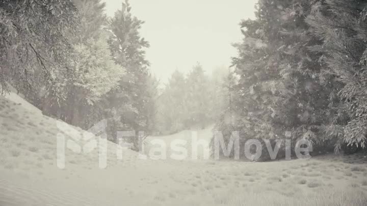Winter snowfall in the forest, gentle lovely snowy Christmas morning with falling snow. Winter landscape. Snow covered trees and trails. Fog. Ultra realistic 3d seamless loop animation