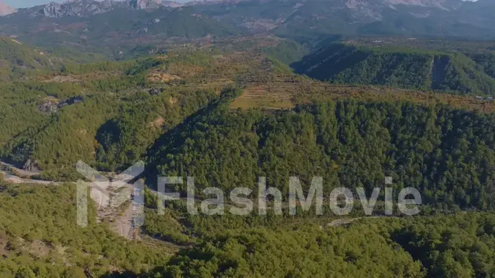 Aerial drone view of green trees on a hill against a blue sky. Mountain landscape. Canyon. Green Forest. Road.