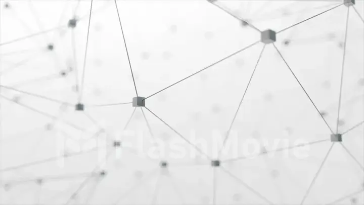 Network animation connected cube on white background. 3d illustration