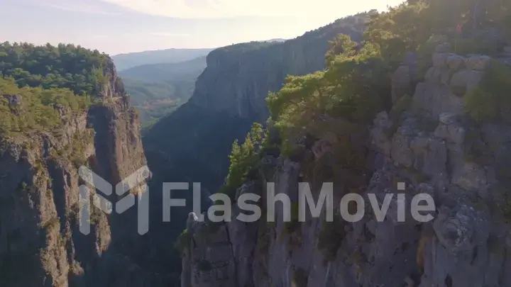 Big green canyon in sunny weather. Green trees and gray rocks. Mountain landscape. Aerial drone view