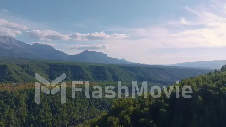 Aerial drone view of green trees on a hill against a blue sky. Mountain landscape. Canyon. Green Forest. Road.