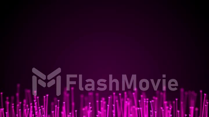 Abstract technology background. Optical fibers animation of distribution of the light signal from a diode towards a bunch. Used for high speed internet connection. Full HD seamless loop animation