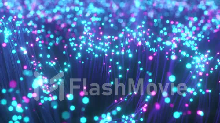 Fiber optic wires with flashing signals