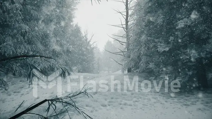 Winter snowfall in the forest, gentle lovely snowy Christmas morning with falling snow. Winter landscape. Snow covered trees and trails. Fog. Ultra realistic 3d illustration