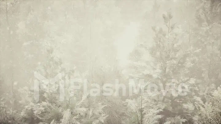 Winter snowfall in the forest, gentle lovely snowy Christmas morning with falling snow. Winter landscape. Christmas background. Snow covered trees. Fog. Ultra realistic 3d illustration