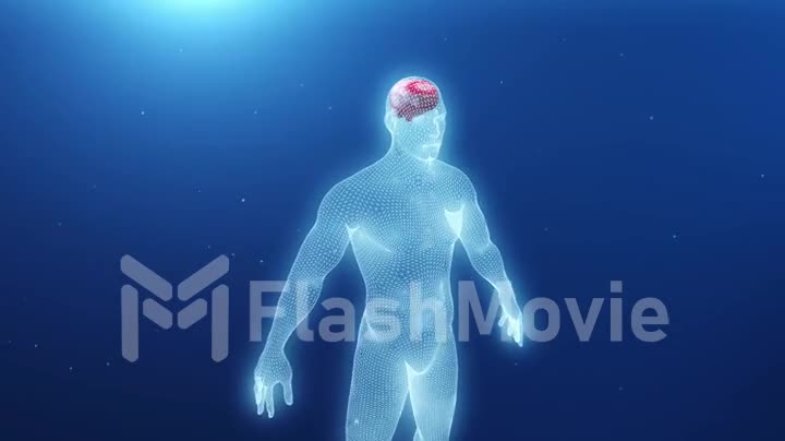 3d model of the human body with an inflamed brain