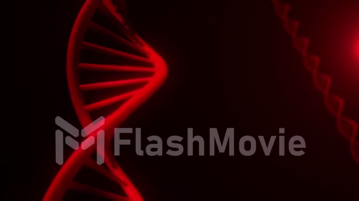 Red DNA Strand slow motion - 3D Animation