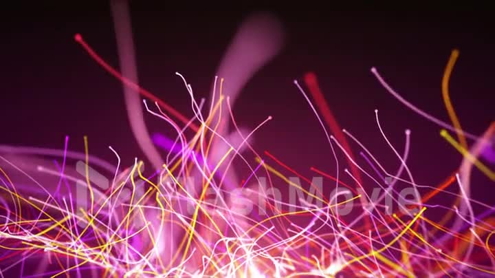 Seamless abstract rotation of colorful curved lines of fiber-optic wires and particles around the camera