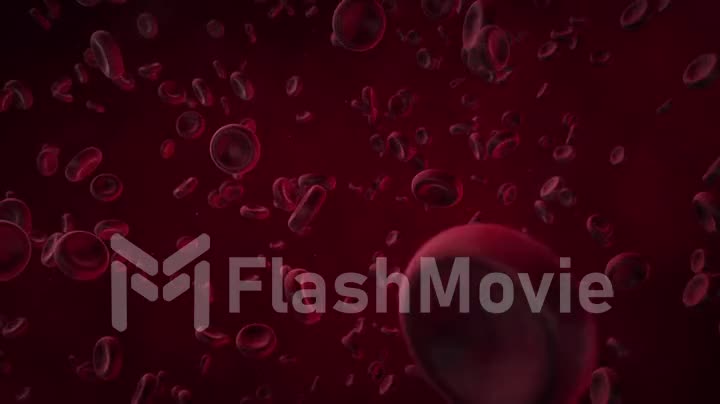Blood cells under a large increase move along the artery or vein.