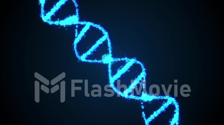 Abstract digital 3d animation human DNA strand