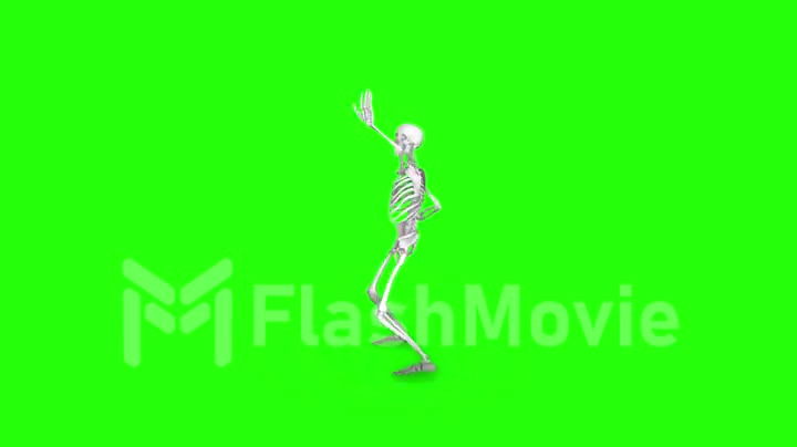 Skeleton dancing on an isolated green background, seamless loop animation
