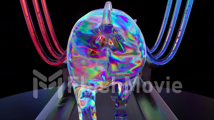 The pig is walking on a treadmill. Back view. Close-up. Blue red neon wires are connected to the guinea pig.
