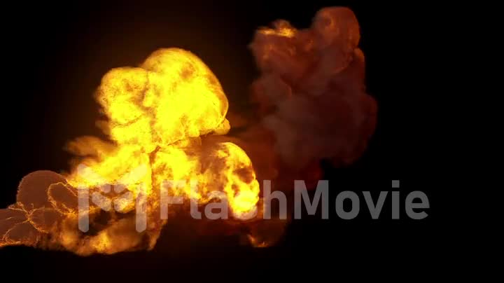 Burning fire in slow motion on a black background
