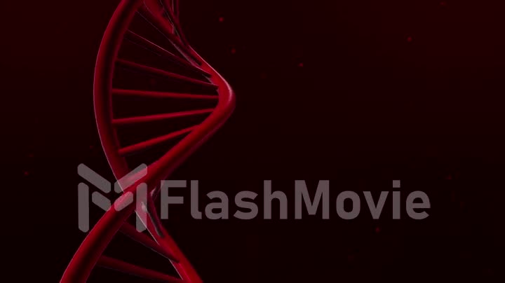 Abstract animation of DNA