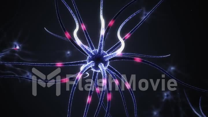 Transmission of electrical impulses to nerve cells.
