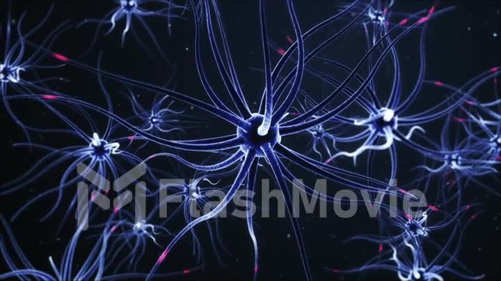 Journey through a neuron cell network inside the brain.