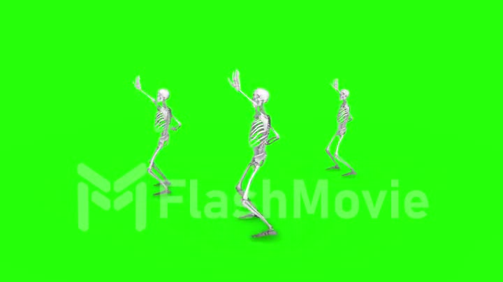 Three dancing skeletons on an isolated green background, seamless loop animation
