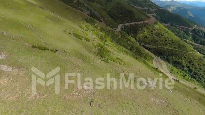 Aerial POV footage of flight over green field and hills. Forests, mountains and green hillsides. View of nature. FPV