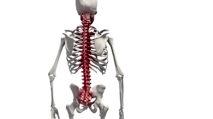 Pain in the spine of a human 3d animation