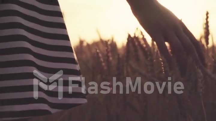 Girl walking through a field of sunny golden wheat close-up in slow motion