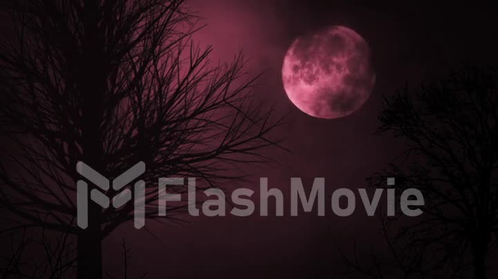 Blood red moon light night sky. spooky trees silhouette. darkness. scary sky. clouds moving