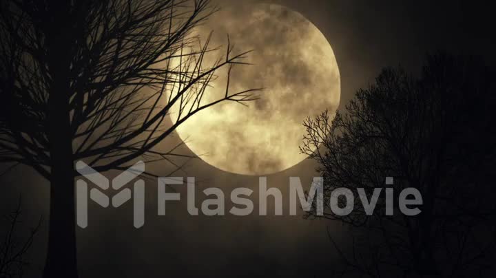 Spooky moon background. tree silhouette. large full moon close up. time lapse. night sky