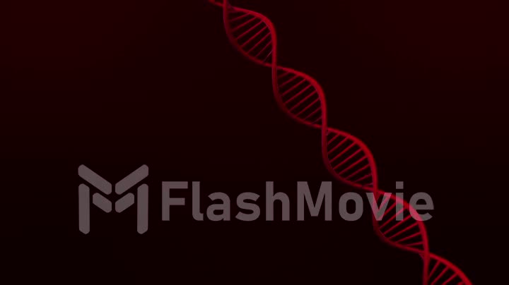 Red DNA Strand slow motion - 3D Animation loop
