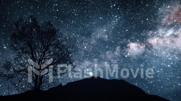 A tree on a hill under a starry sky. Elements of this image furnished by NASA