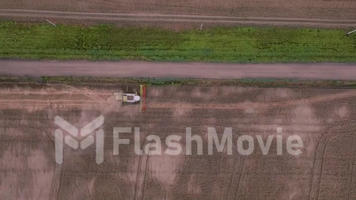 Top view of a harvester that harvests in a grain field. Road next to the field. Plow. Farming. Aerial drone footage.