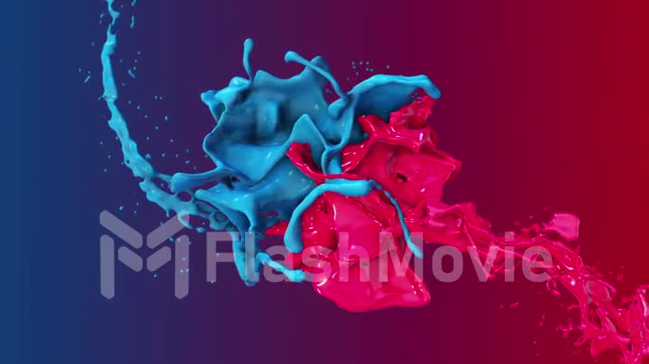 Red and blue abstract fluids collide in the laps of the 3d flown around the camera