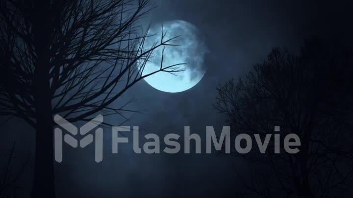 Time lapse of moon night sky. spooky trees silhouette. darkness. scary sky. clouds moving