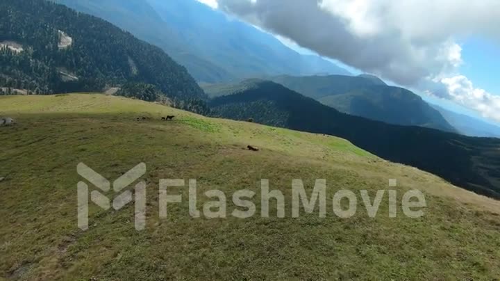 Flight over the top of the hill. The ground is covered with green grass. Mountain landscape. FPV Drone video 4k footage