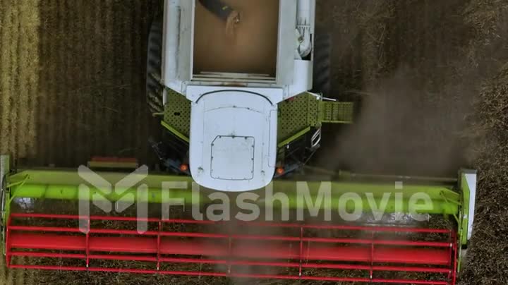 The combine harvests grain in the field. Plow. Granary. Countryside. Top view. Farming. Aerial drone footage