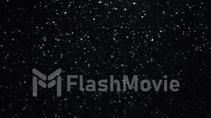 Natural snow in slow motion on a black background