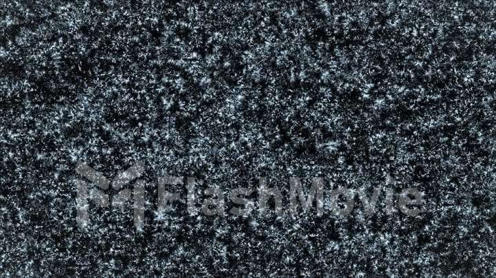 A beautiful animation of the distribution of frosty ice on the window black background