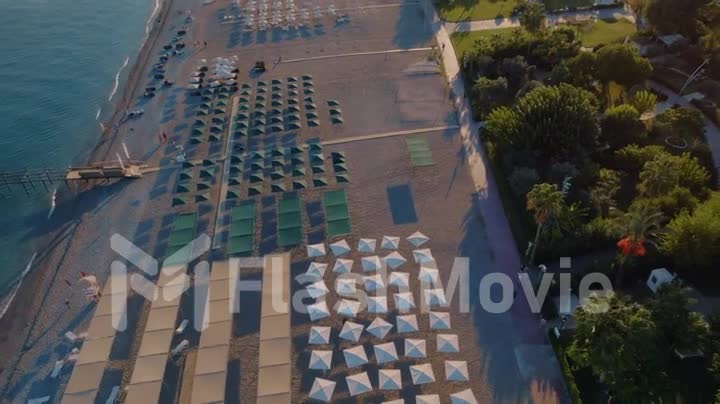 Top view of the coastline. Beach chairs. Palm trees, sand, beach umbrellas. Vacation. Sea shore. Aerial drone footage