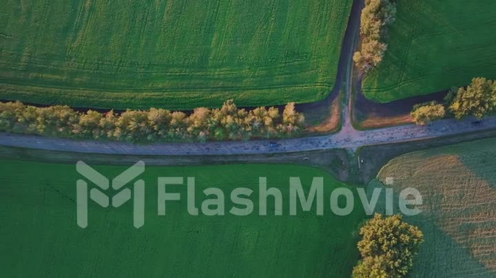 A blue car is driving along a road between green fields. Top view. Human and nature. Aerial video footage from a drone