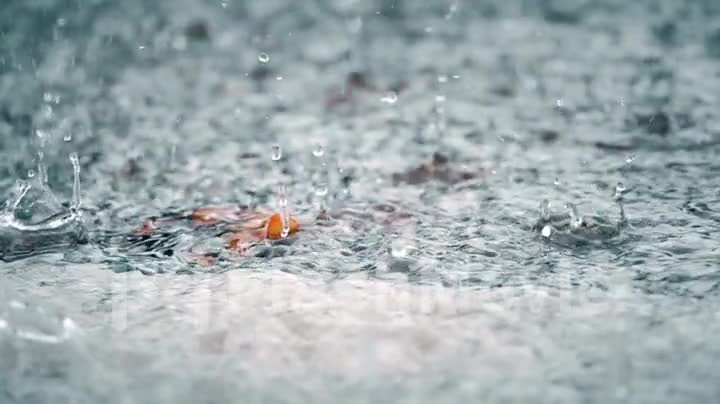 The spray of rain falls on the leaf and the surface in a slow action, drops of water spray in different directions