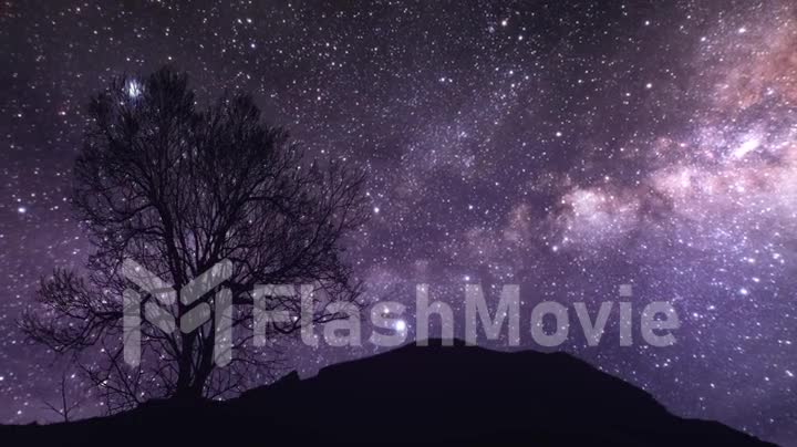A time lapse of a starry night. Elements of this image furnished by NASA