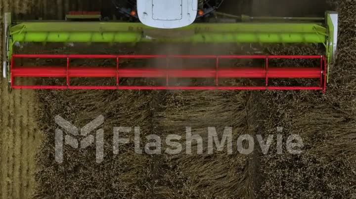 The plow of a combine harvester is harvesting. Close-up. Agriculture. Farmers. Grain fields. Aerial drone footage.