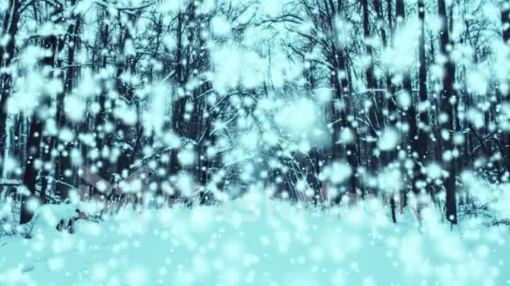 Snow Christmas Video Background Seamless Loop - Magical Snow A snowy winter forest with a dream-like visual quality. Great atmospheric background loop especially suited for Christmas time.