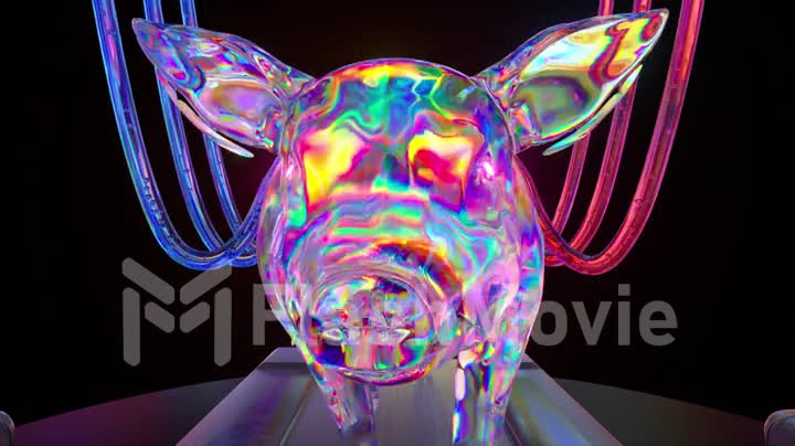 Abstract concept. The pig is walking on a treadmill. Front view. Close-up. Blue red neon wires. Rainbow. 3d animation