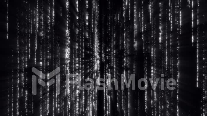 Falling binary code in the matrix style in the technological space in black background