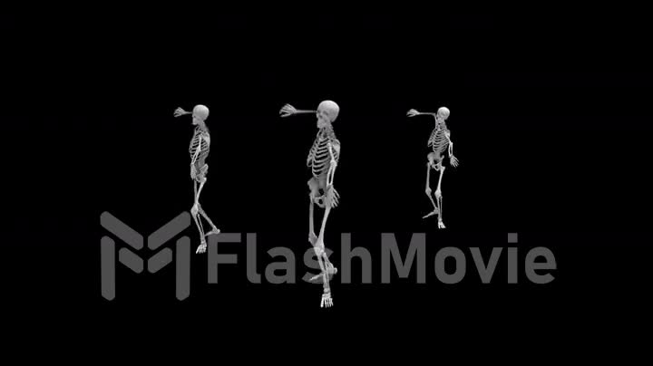 Three dancing skeletons on an isolated black background